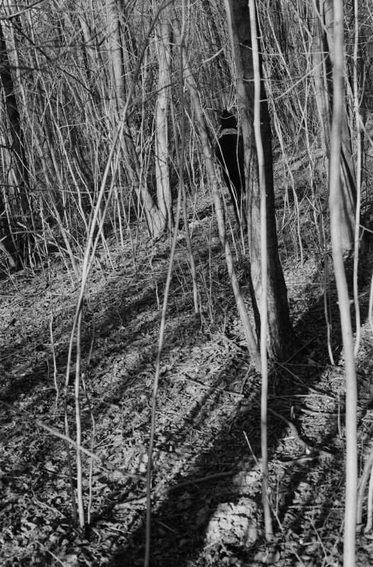 Silke Grossmann <br />White Moor I (Double Picture 1), 1998 <br />Silver gelatin print © Silke Grossmann