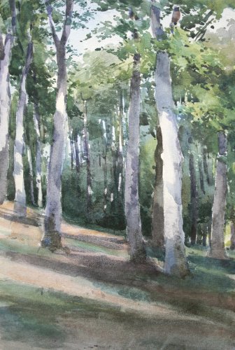  Mary Warburg: Wald auf dem Kösterberg, 1898, Erica Warburg