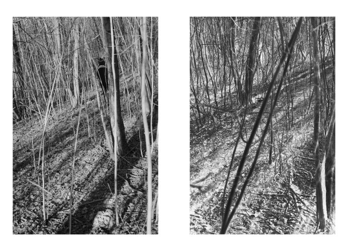 Silke Grossmann: Weißes Moor III Doppelbild Positiv Negativ, Pigmentdruck, 1998/2015