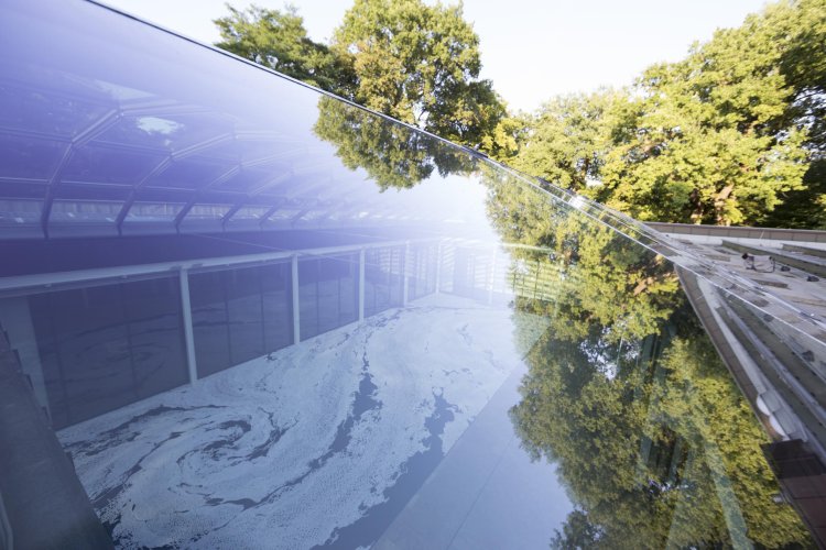 Exhibition view »Motoi Yamamoto. Floating Garden«, Ernst Barlach Haus 2013