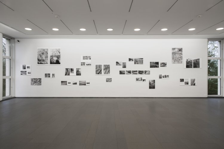 Exhibition view Silke Grossmann. Movements on the Periphery, Ernst Barlach Haus 2017/18