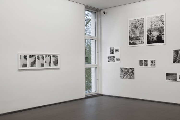 Ausstellungsansicht Silke Grossmann. Bewegungen an der Peripherie, Ernst Barlach Haus 2017/18