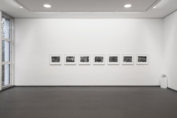Ausstellungsansicht Silke Grossmann. Bewegungen an der Peripherie, Ernst Barlach Haus 2017/18