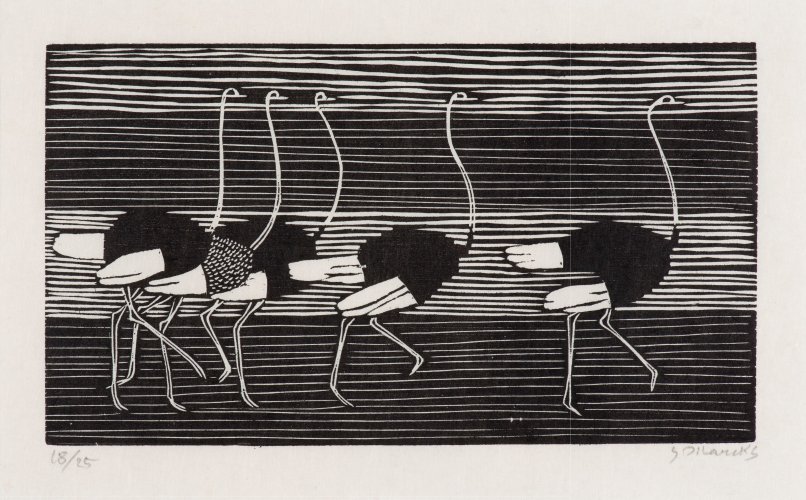 Gerhard Marcks: Laufende Strauße, 1956, Holzschnitt, Sammlung Ernst-Joachim Sorst, Hannover
