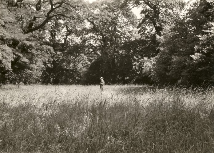 Hermann F. Reemtsma besichtigt das Baugelände, 26. Juni 1960